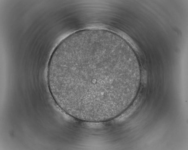 X0000111190856200907221108