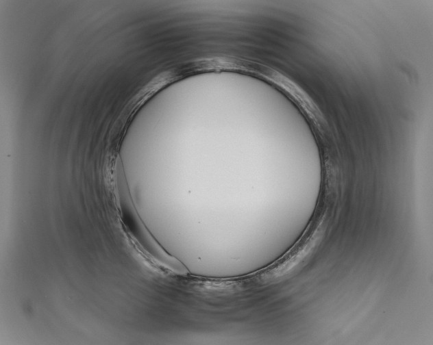 X0000111190857200907221108