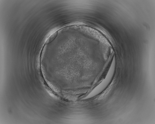 X0000111190858200907221108