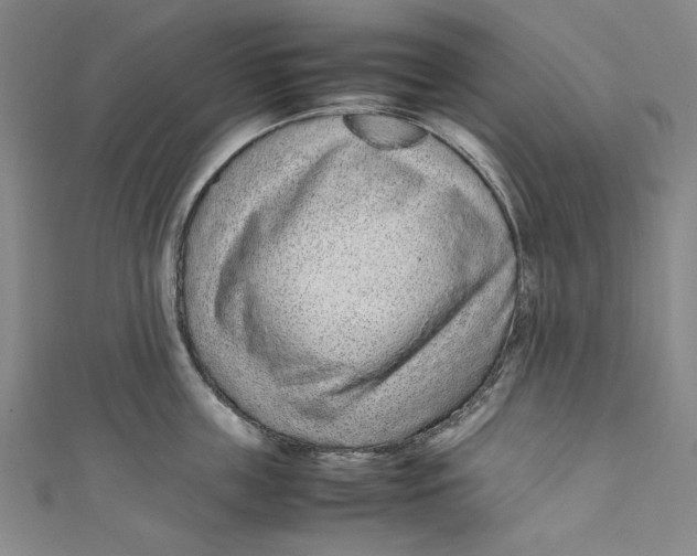 X0000111190859200907221108