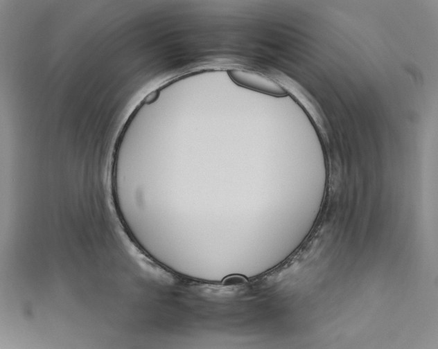 X0000111190861200907221108