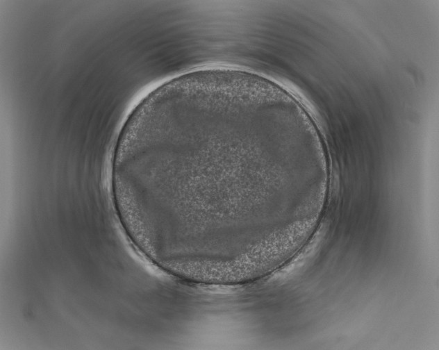 X0000111190862200907221108