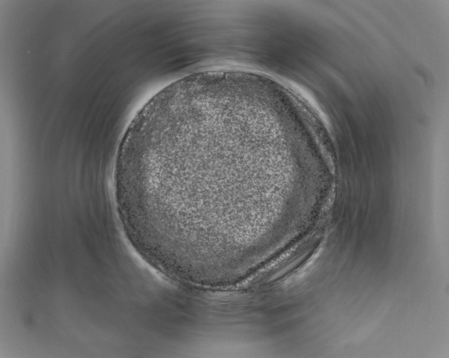 X0000111190863200907221108