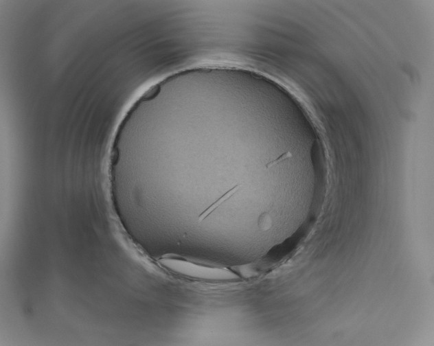 X0000111190864200907221108