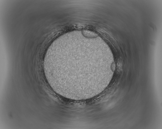 X0000111190865200907221107