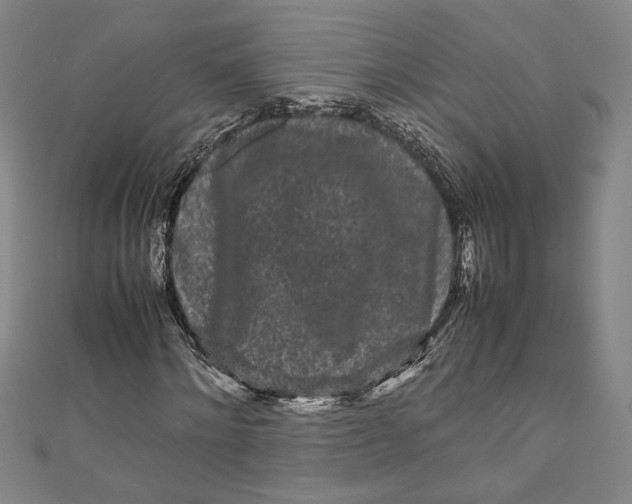 X0000111190868200907221107