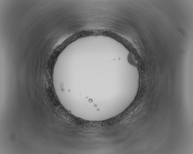 X0000111190871200907221107