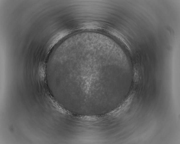 X0000111190874200907221107