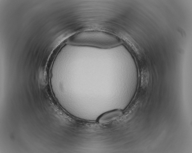 X0000111190876200907221107