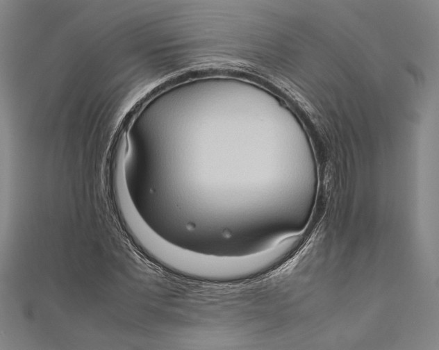 X0000111190877200907221107