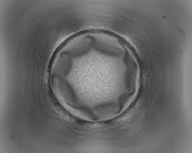 X0000111190879200907221107