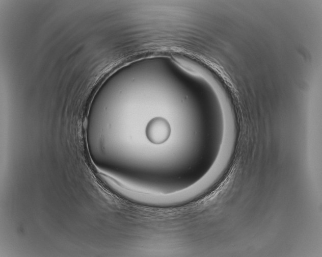 X0000111190881200907221107