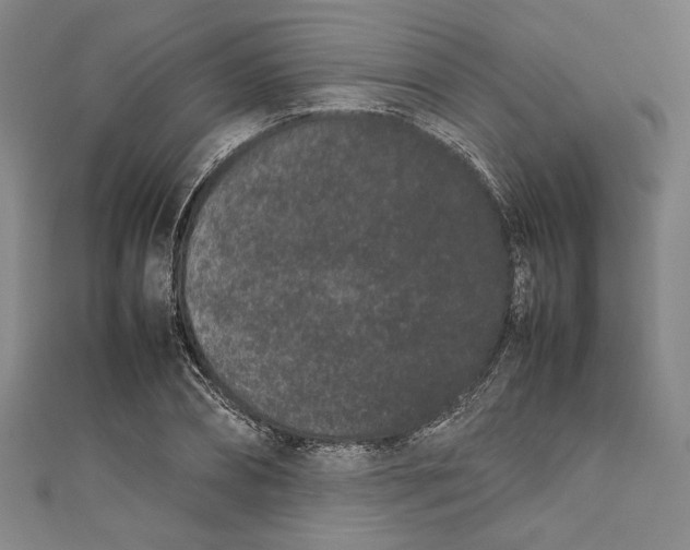 X0000111190882200907221107