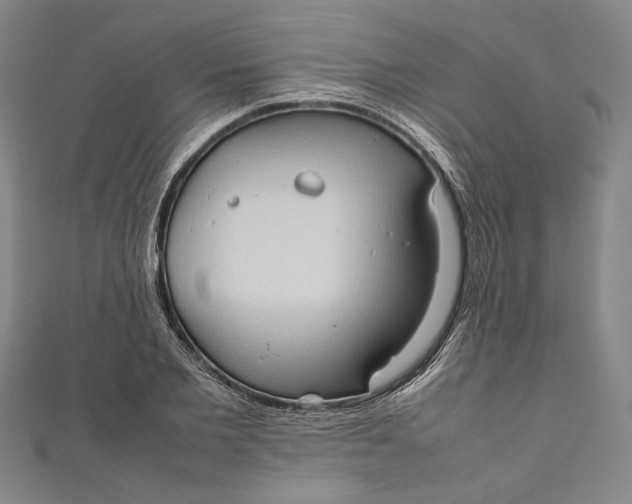 X0000111190885200907221107