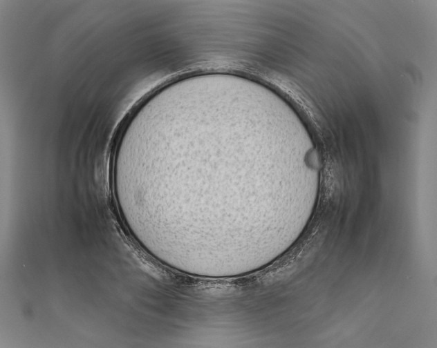 X0000111190886200907221107