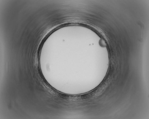 X0000111190887200907221107