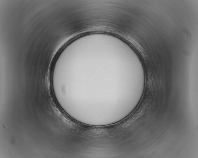 X0000111190888200907221107