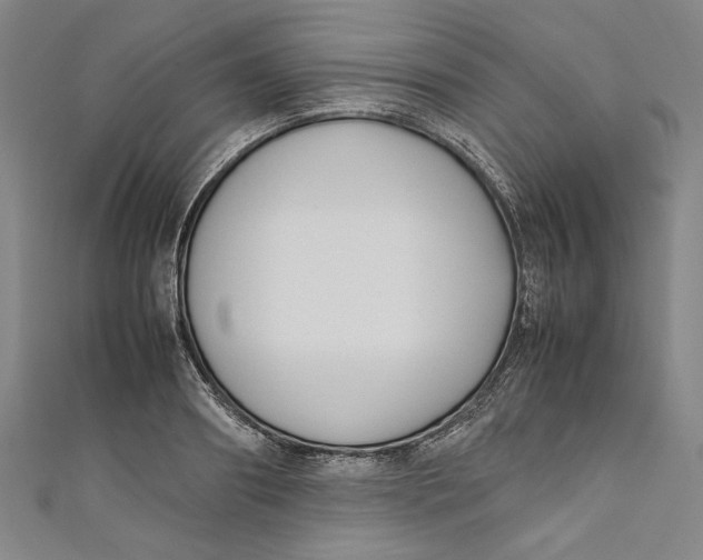 X0000111190890200907221107