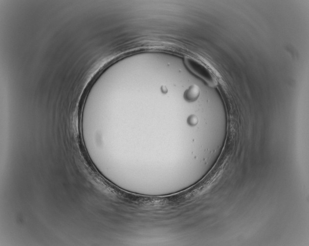 X0000111190891200907221107