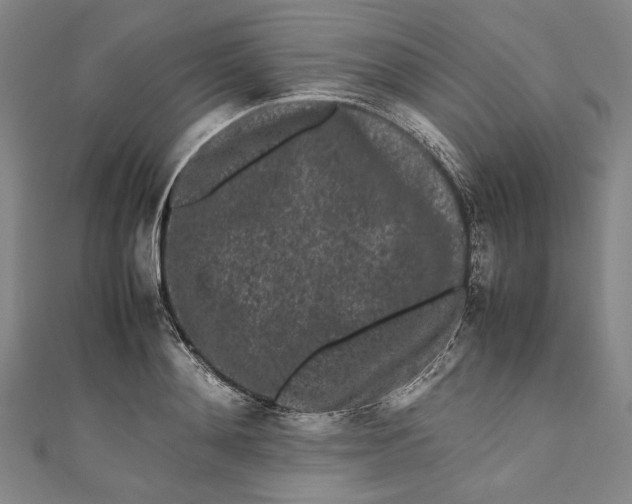 X0000111190892200907221107