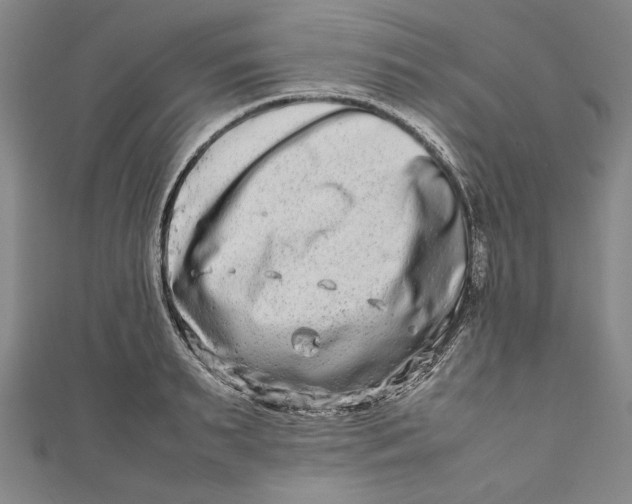 X0000111190895200907221107