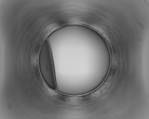 X0000111190897200907221107