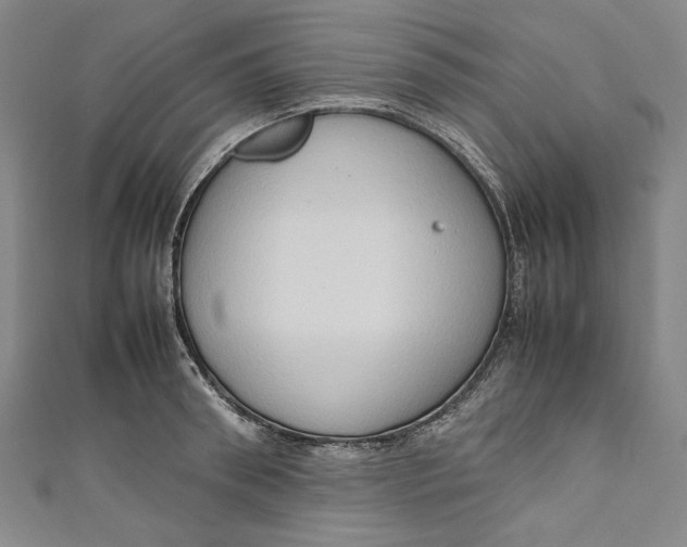 X0000111190898200907221107