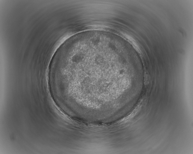 X0000111190899200907221107