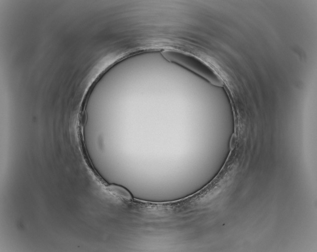 X0000111190901200907221107