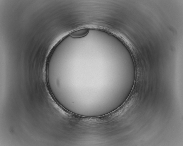 X0000111190902200907221107