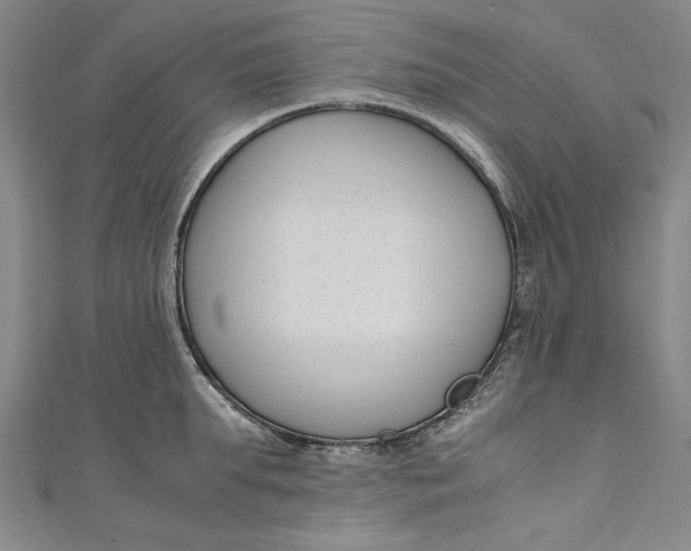 X0000111190903200907221107