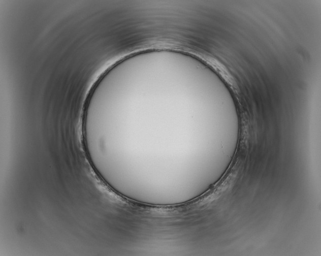 X0000111190904200907221107