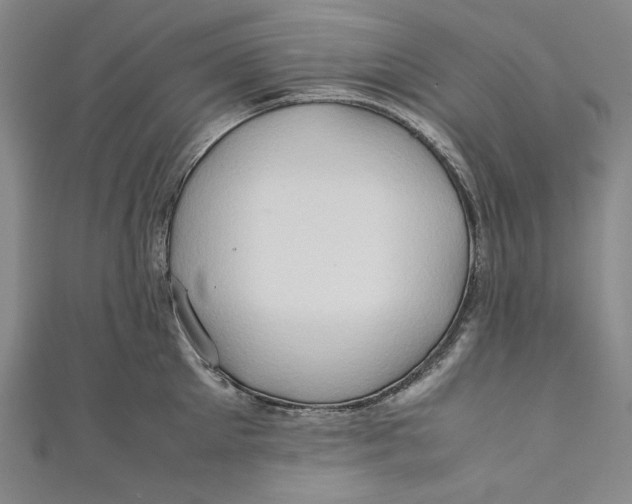 X0000111190905200907221107