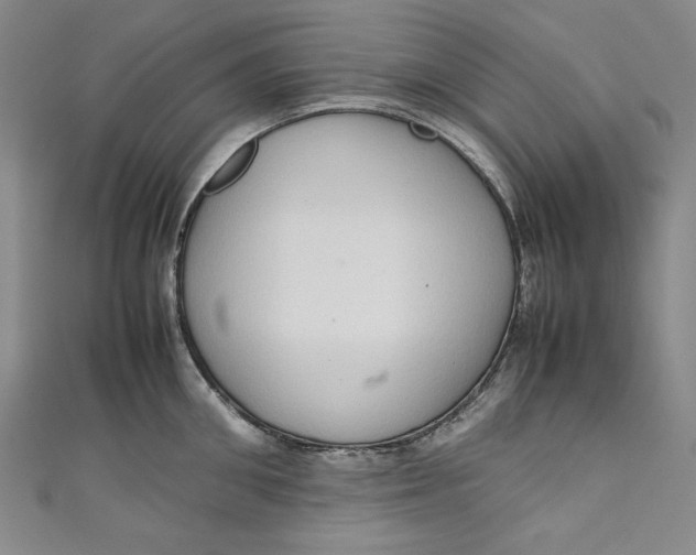 X0000111190906200907221107