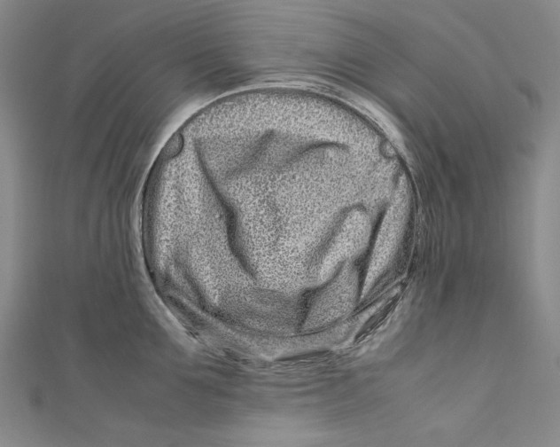 X0000111190907200907221107