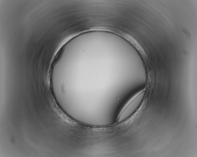 X0000111190908200907221107