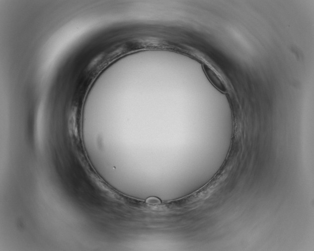 X0000111190911200907221107