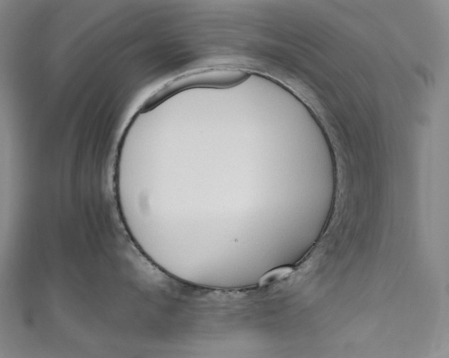 X0000111190912200907221106