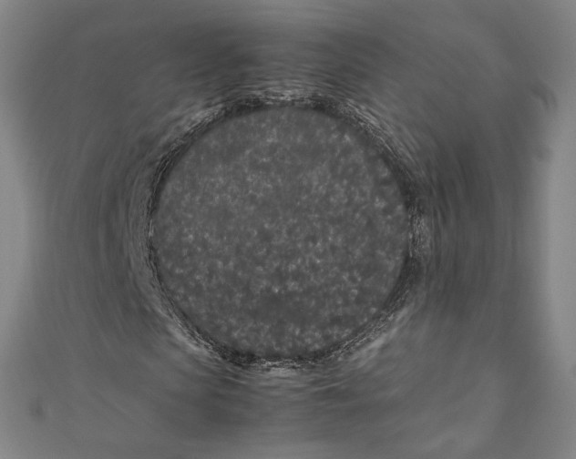 X0000111190913200907221106