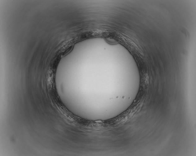 X0000111190914200907221106