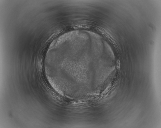 X0000111190915200907221106