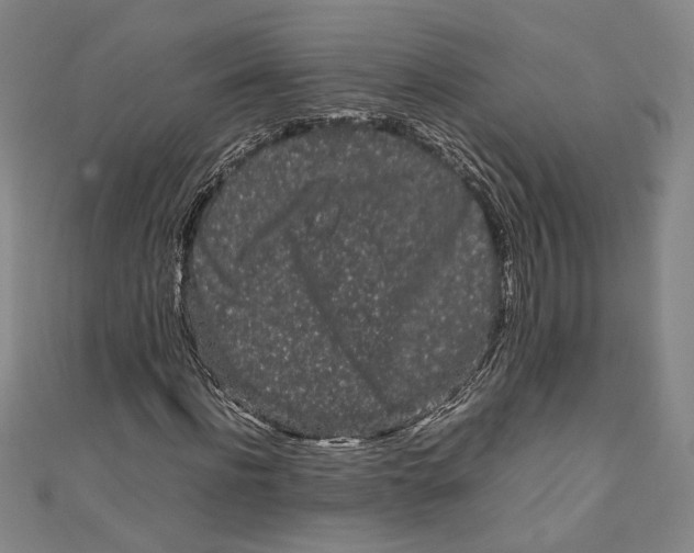 X0000111190916200907221106