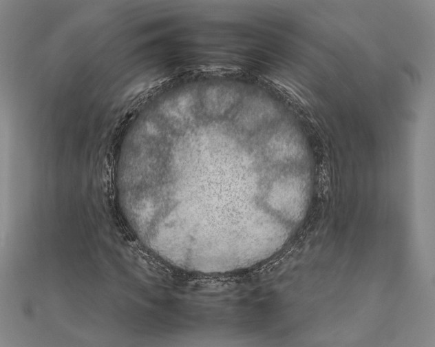 X0000111190917200907221106