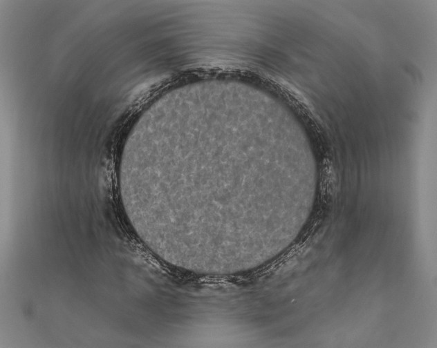 X0000111190918200907221106