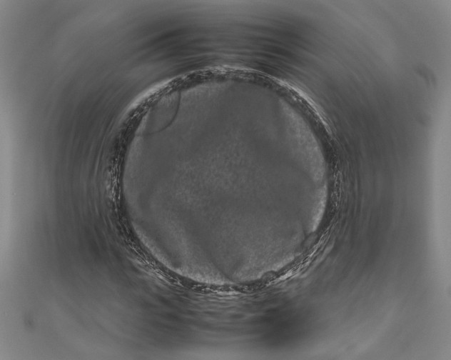 X0000111190919200907221106