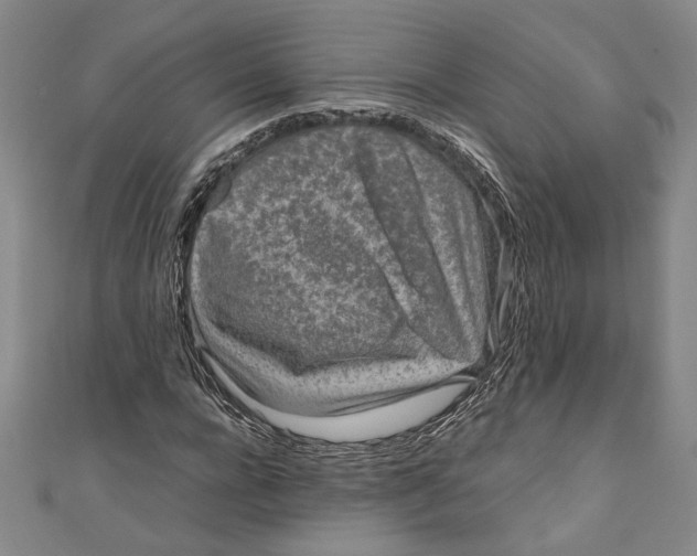 X0000111190920200907221106