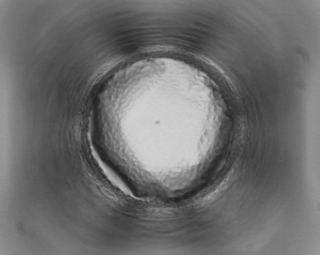 X0000111190921200907221106