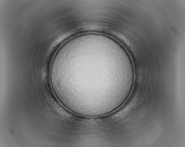 X0000111190922200907221106