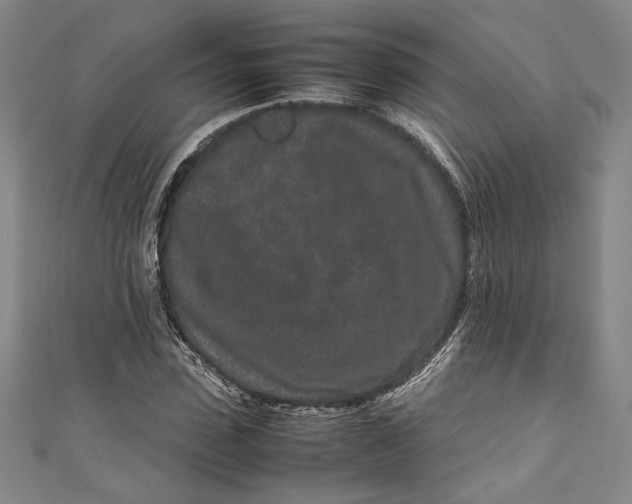 X0000111190923200907221106