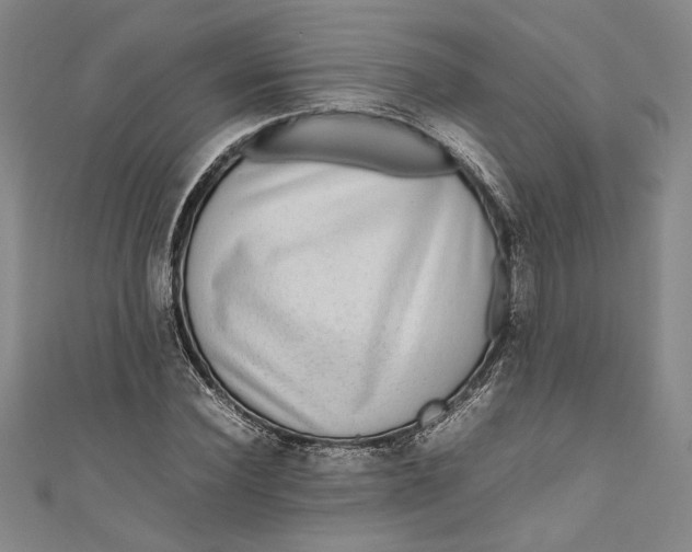 X0000111190924200907221106